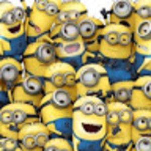 Meet your Posher, Bonnie